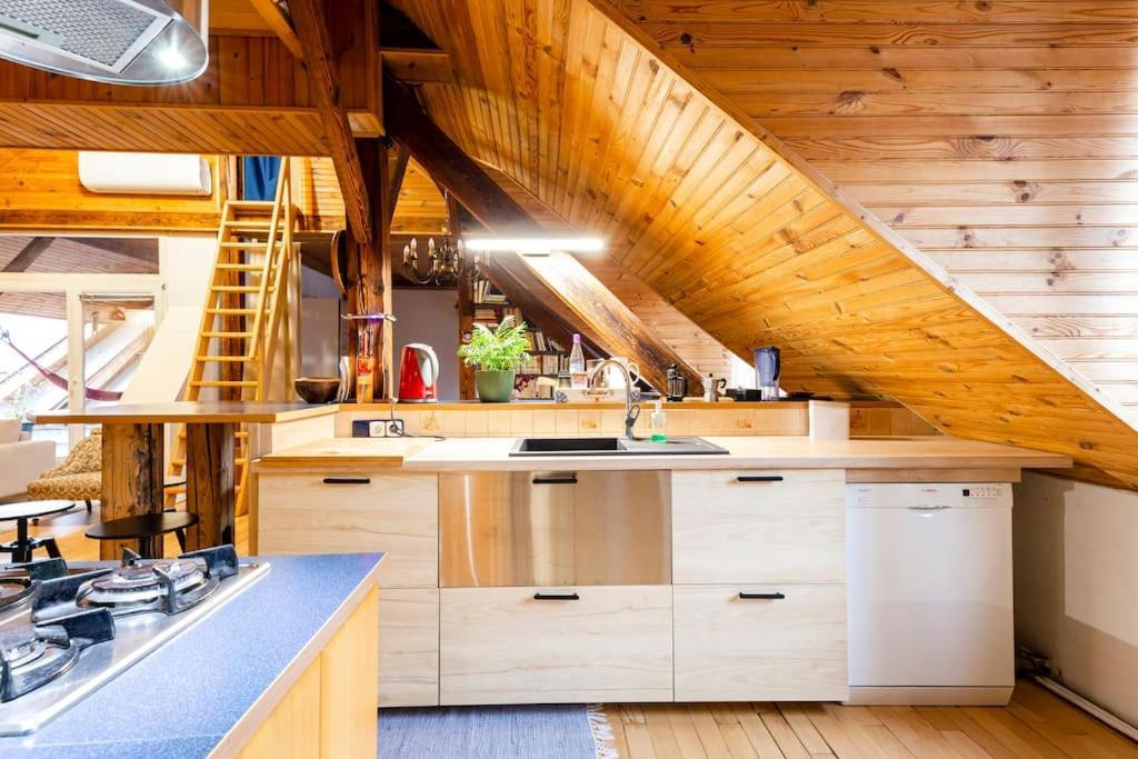 Rooftop 180M2 Loft With Private Sauna, Bratislava Dış mekan fotoğraf