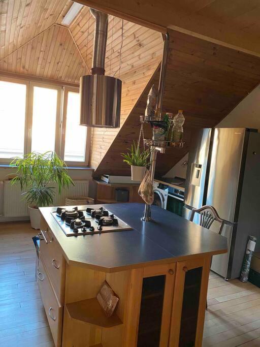 Rooftop 180M2 Loft With Private Sauna, Bratislava Dış mekan fotoğraf