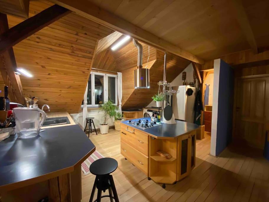 Rooftop 180M2 Loft With Private Sauna, Bratislava Dış mekan fotoğraf
